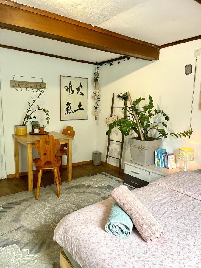 Cozy Room In An Old Farmhouse Near Vaduz Sevelen Kültér fotó